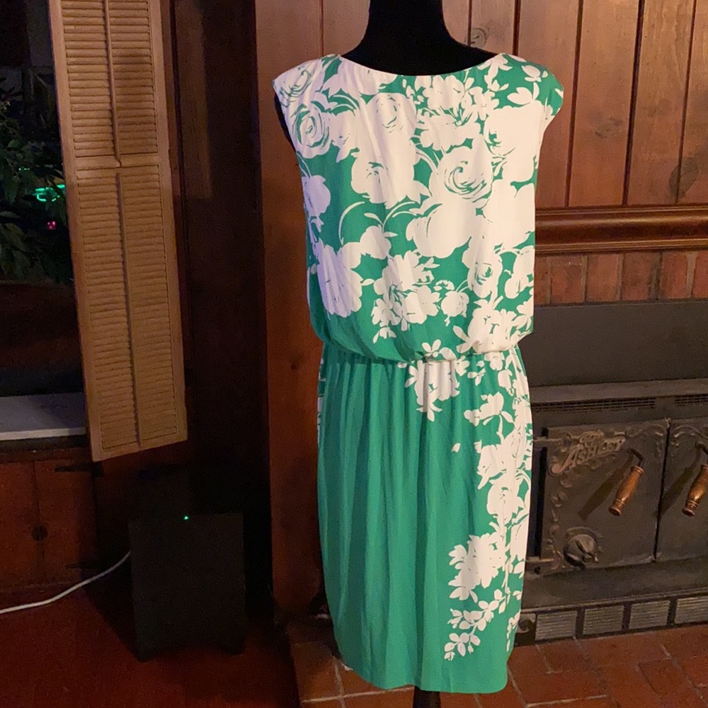 Gorgeous green & white dress NWOT floral